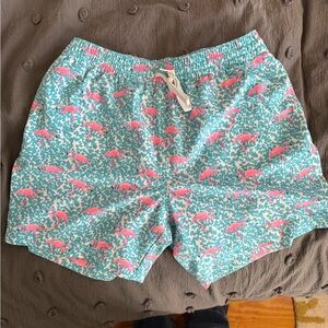 Chubbies Pink and Teal Swim Shorts